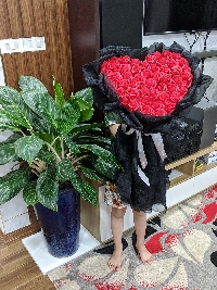 Bó hoa hồng sáp trái tim 50 bông đỏ