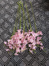 Cành lan hồ điệp 3 nhánh cánh nhỏ hồng phớt 02