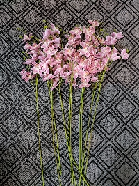 Cành lan hồ điệp 3 nhánh cánh nhỏ hồng phớt 04