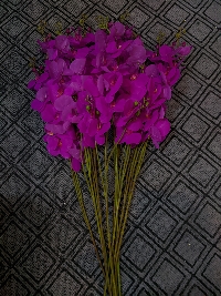 Hồ điệp 3 nhánh tím 02