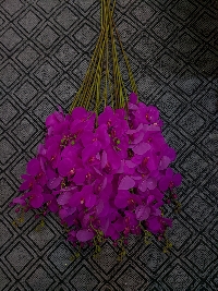 Hồ điệp 3 nhánh tím 03