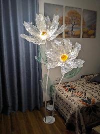 Cây hoa voan khổng lồ