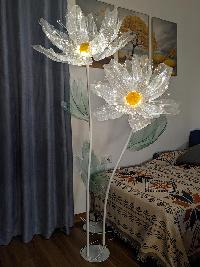  Cây hoa voan khổng lồ