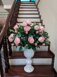 Chậu hoa hồng Như Ý 03