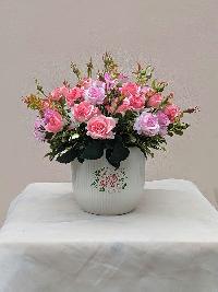 Chậu hoa hồng tỉ muội cỡ vừa