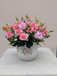 Chậu hoa hồng tỉ muội