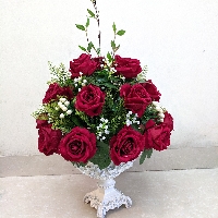Chậu hoa hồng nhung Nồng Nàn Sắc Đỏ