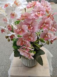 Chậu lan hồ điệp giả 3 cành màu hồng mix trắng