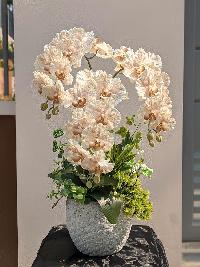 Chậu lan hồ điệp giả 3 cành màu nâu nhạt