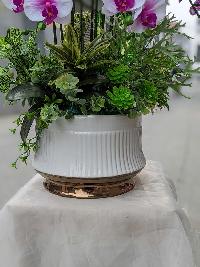 Chậu lan hồ điệp cao su cao cấp 11 cành màu hồng mix trắng 