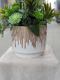 Chậu lan hồ điệp cao su 10 cành màu hồng