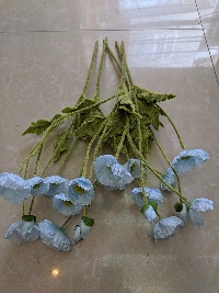 Cụm hoa anh túc xanh 02