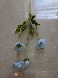 Cụm hoa anh túc xanh 03