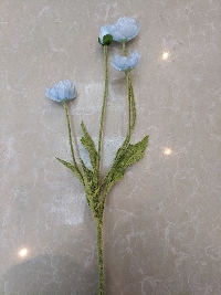 Cụm hoa anh túc xanh 04
