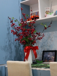 Đào đông đỏ 9 cành 06