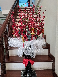  Bình đào đong đỏ cung hỷ phát tài 01