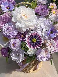 Lẵng hoa chúc mừng khai trương màu tím