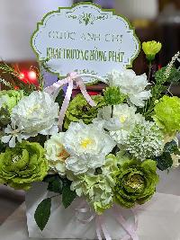 Lẵng hoa nhỏ để bàn màu xanh lá cây