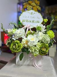 Lẵng hoa nhỏ để bàn màu xanh lá cây