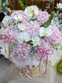 Giỏ hoa cẩm tú cầu tone màu hồng