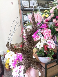 Gốc cây bon sai vỡ nhỡ 03