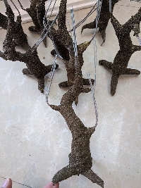 Gốc cây bonsai cỡ nhỏ 02