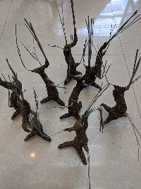 Gốc cây bonsai cỡ nhỏ 04