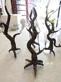 Gốc cây bonsai cỡ trung bình 01