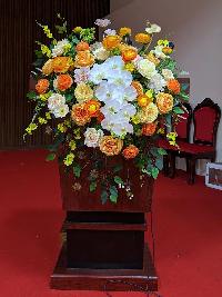 Hoa để bục phát biểu