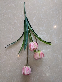 Cụm hoa Tulip 3 bông hông 03
