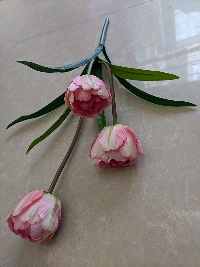 Cụm hoa Tulip 3 bông hông 04