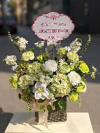 Lẵng hoa chúc mừng sinh nhật màu xanh cốm