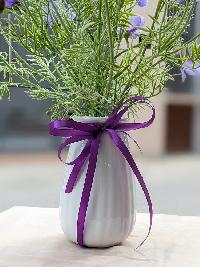 Bình hoa cánh bướm màu tím