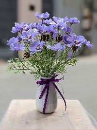 Bình hoa cánh bướm màu tím