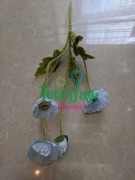Cụm hoa anh túc xanh 03