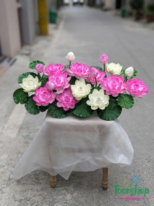 Hoa trang trí chân tượng bác Hồ
