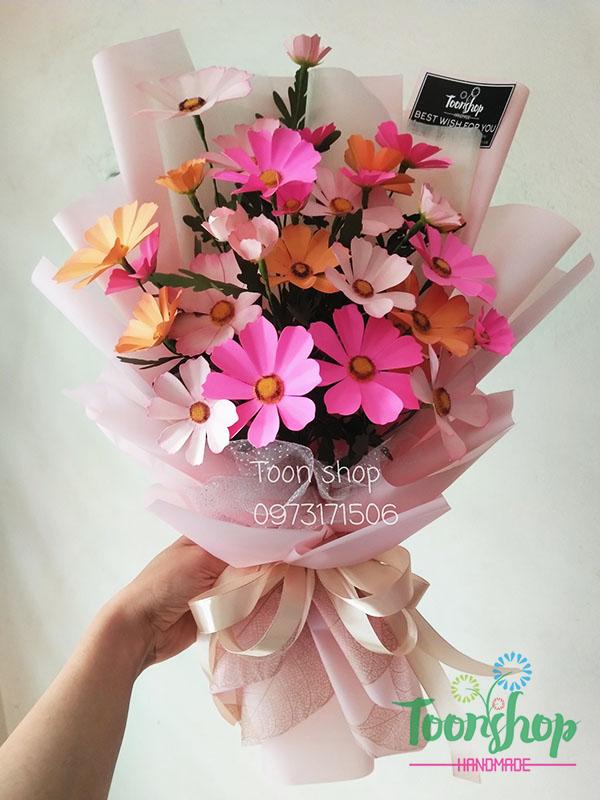 Boa hoa sao nháy cánh bướm mùa xuân