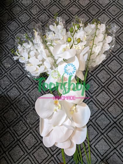 Cành lan hồ điệp 1 nhánh trắng