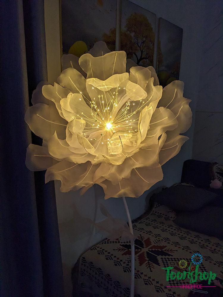 Cây hoa poppy khổng lồ