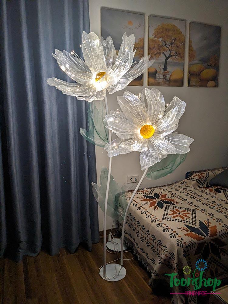 Cây hoa voan khổng lồ