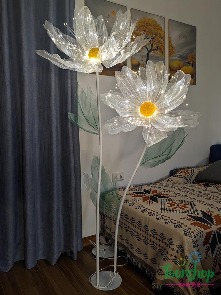  Cây hoa voan khổng lồ