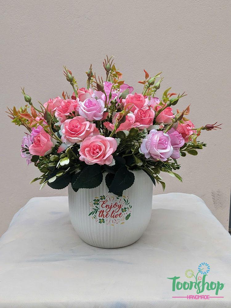 Chậu hoa hồng tỉ muội