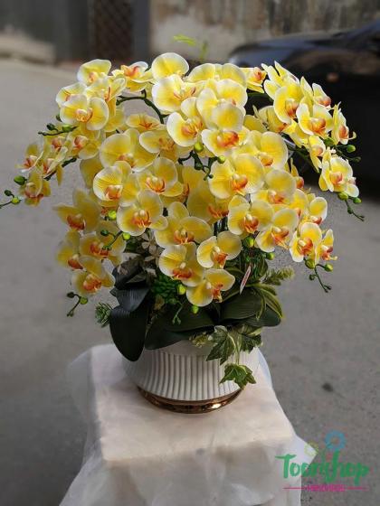 Chậu lan hồ điệp phát tài phát lộc chất liệu cao su