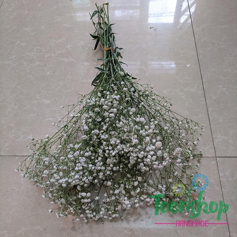 Baby nguyên liệu bó nhỏ