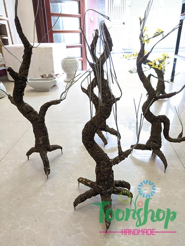 Gốc cây bonsai cỡ trung bình 01