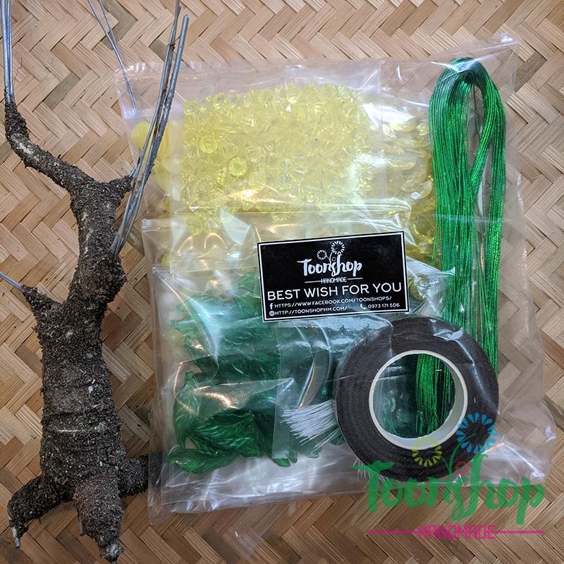 Set mai cỡ nhỏ 100 bông