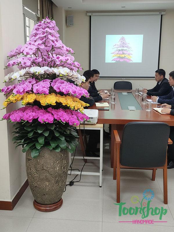Chậu lan hồ điệp cao su cao cấp bầy tại phòng họp