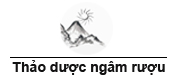 Đồ Ngâm Rượu