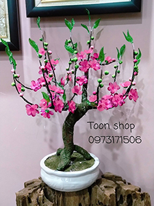 Hoạt động của ToonShop năm 2017